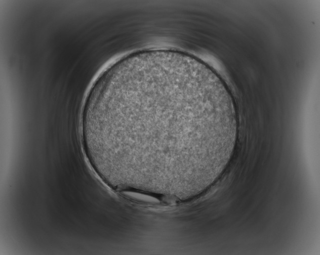 X0000084521191200703231624