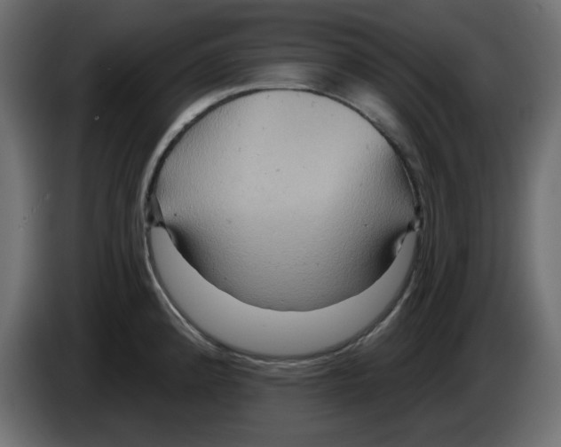 X0000084521192200703231624