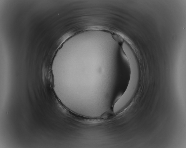 X0000084521193200703231624