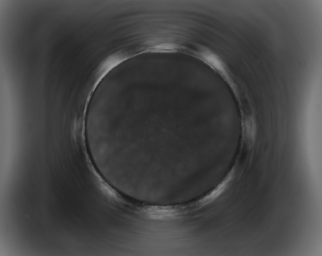 X0000084521194200703231624