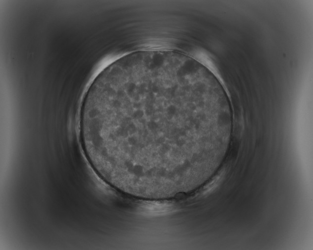 X0000084521195200703231624