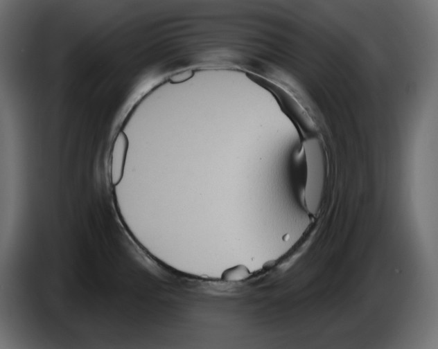 X0000084521196200703231624