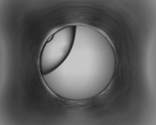 X0000084521197200703231624