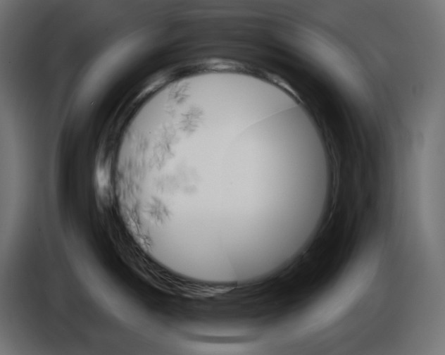 X0000084521198200703231624