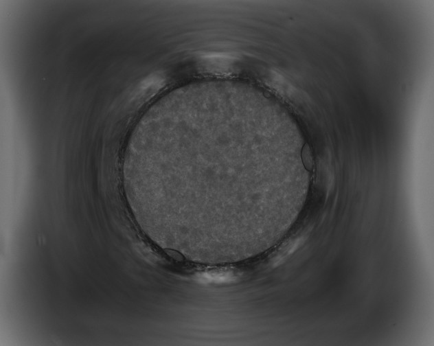 X0000084521201200703231623