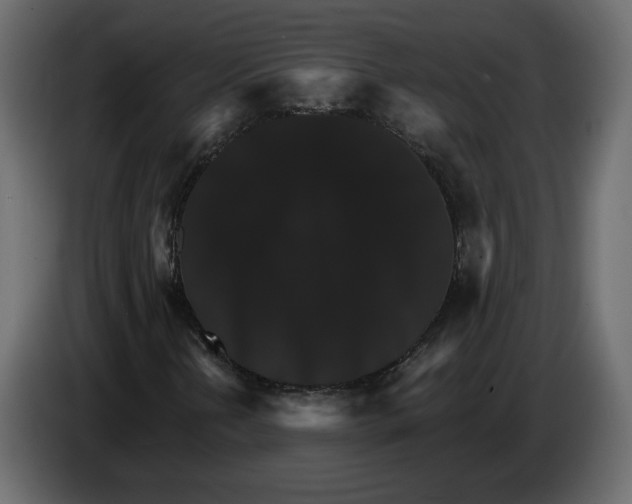 X0000084521202200703231623