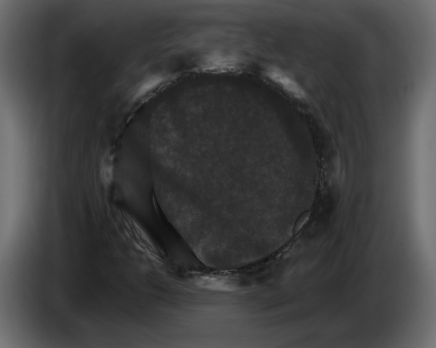 X0000084521206200703231623