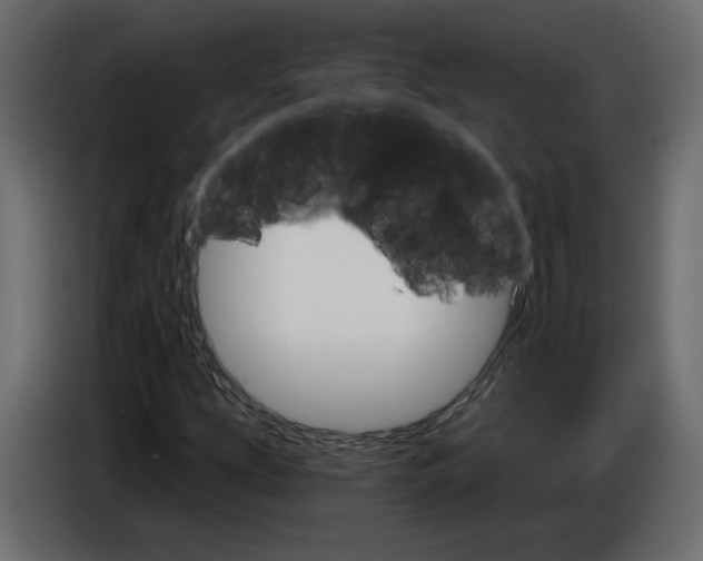 X0000084521207200703231623