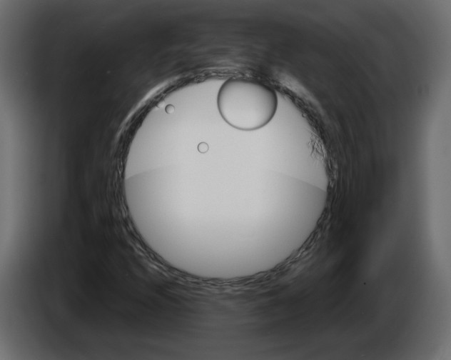 X0000084521208200703231623