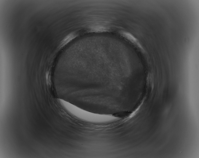 X0000084521209200703231623