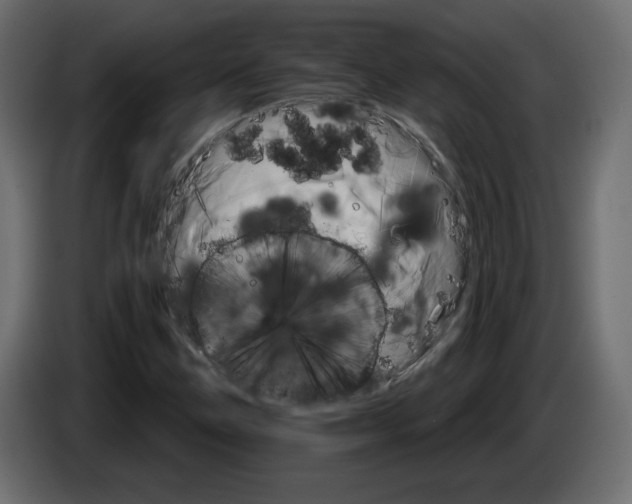 X0000084521211200703231623
