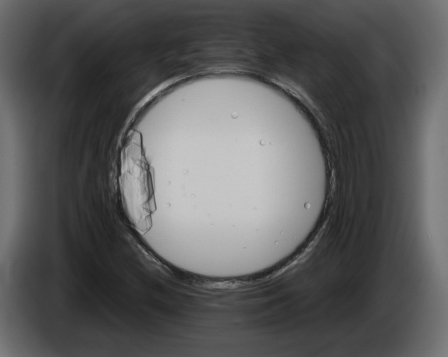 X0000084521212200703231623