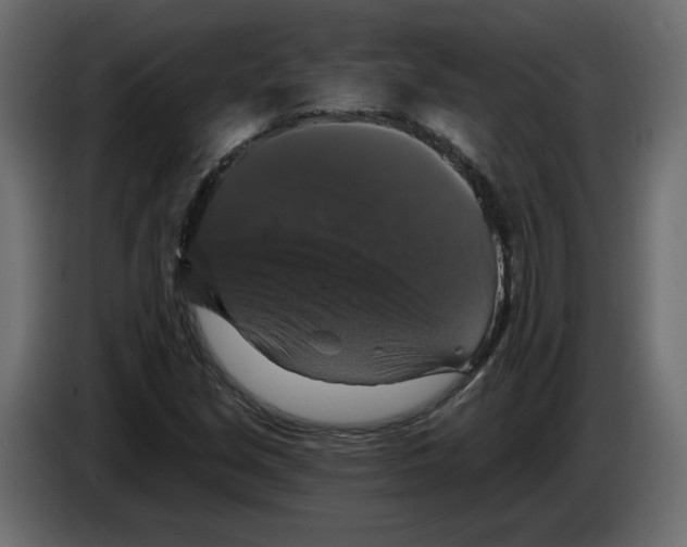 X0000084521213200703231623