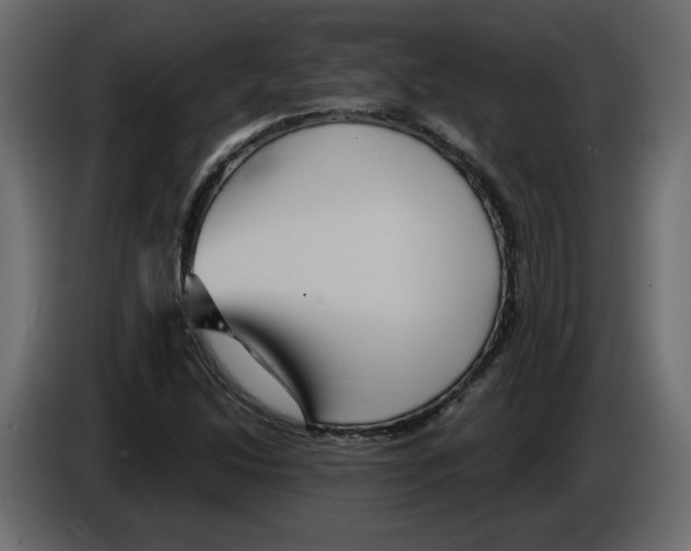 X0000084521214200703231623