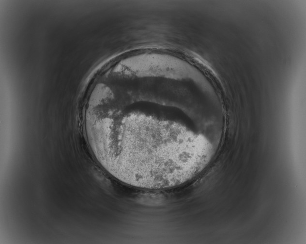 X0000084521215200703231623