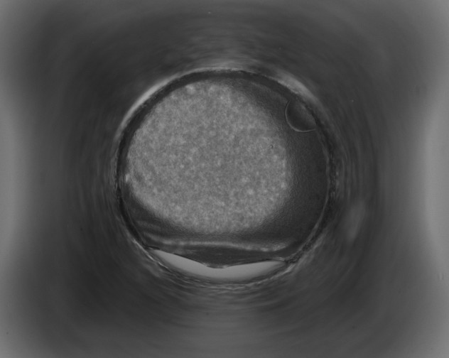 X0000084521216200703231623