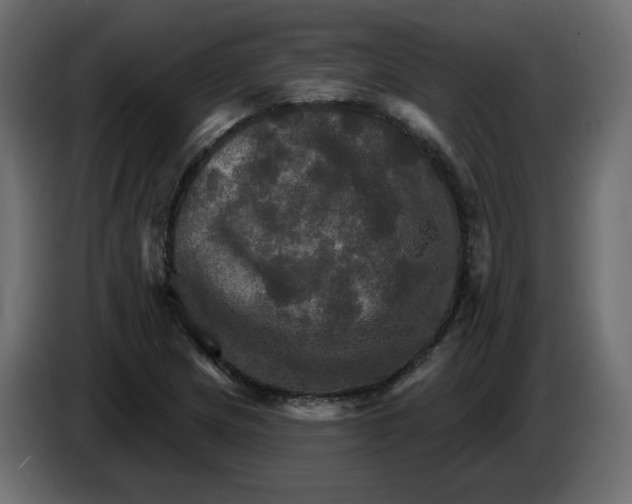 X0000084521217200703231623
