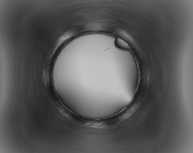 X0000084521218200703231623