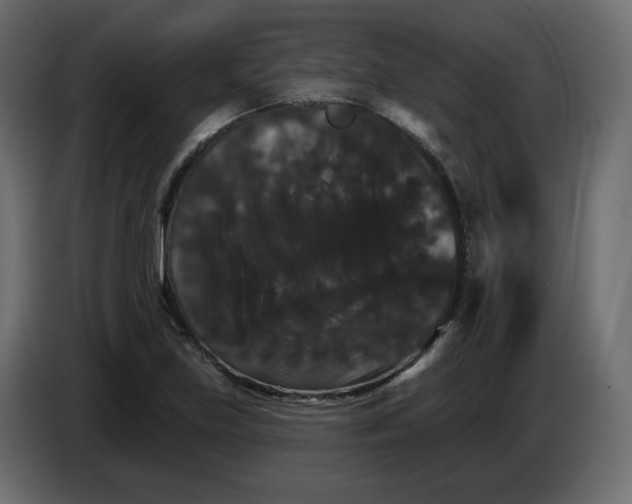 X0000084521219200703231623