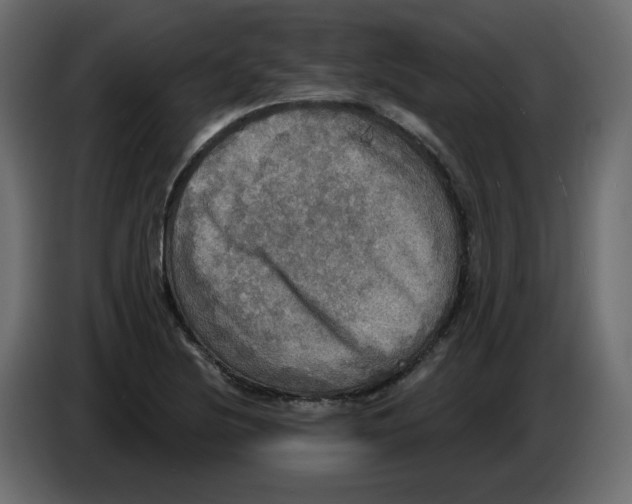 X0000084521220200703231623