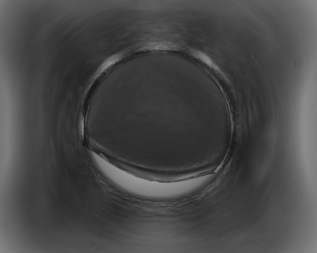 X0000084521221200703231623
