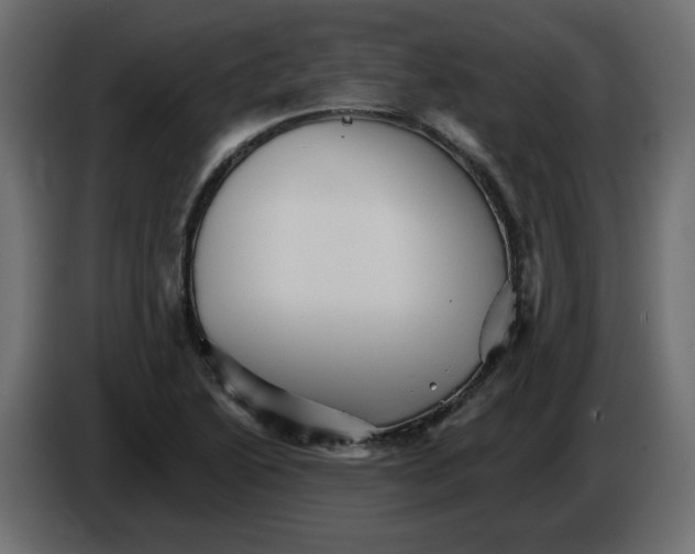 X0000084521222200703231623