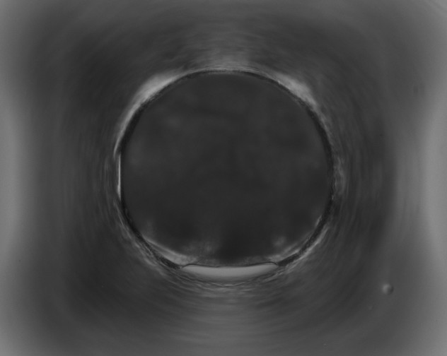 X0000084521223200703231623