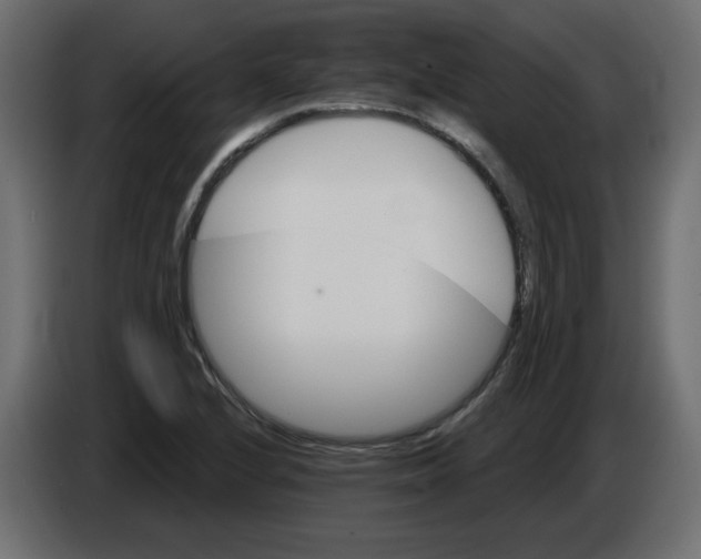 X0000084521224200703231623