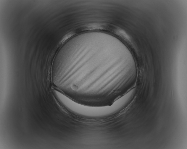 X0000084521225200703231623