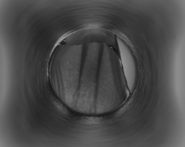 X0000084521226200703231623