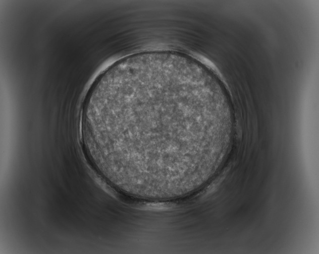 X0000084521227200703231623