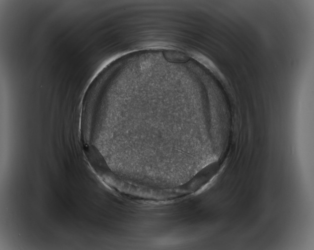 X0000084521228200703231623