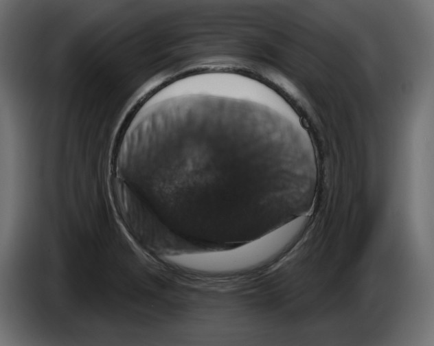 X0000084521229200703231623