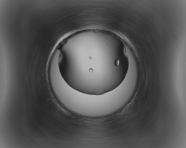 X0000084521230200703231623
