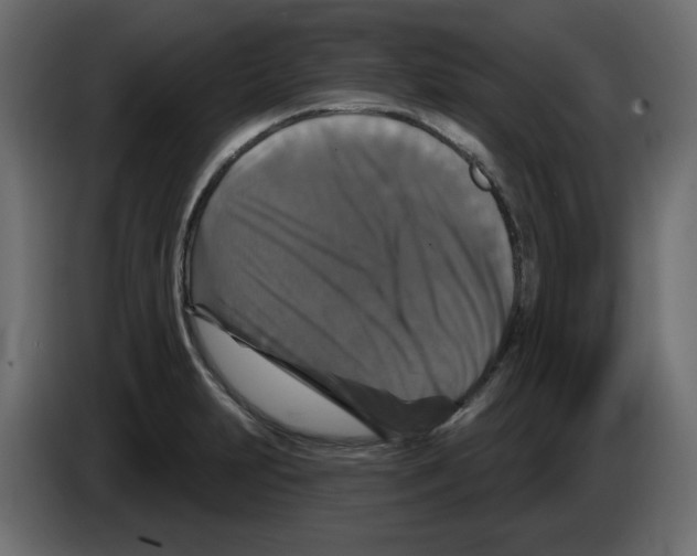 X0000084521231200703231623