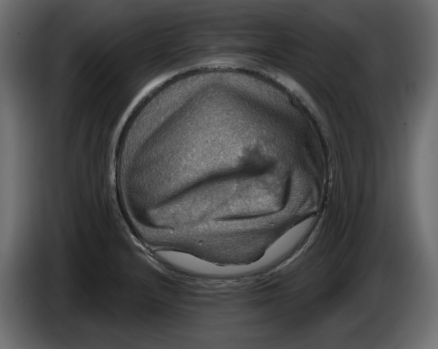 X0000084521232200703231623