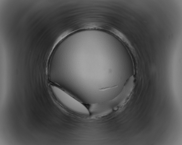 X0000084521234200703231623