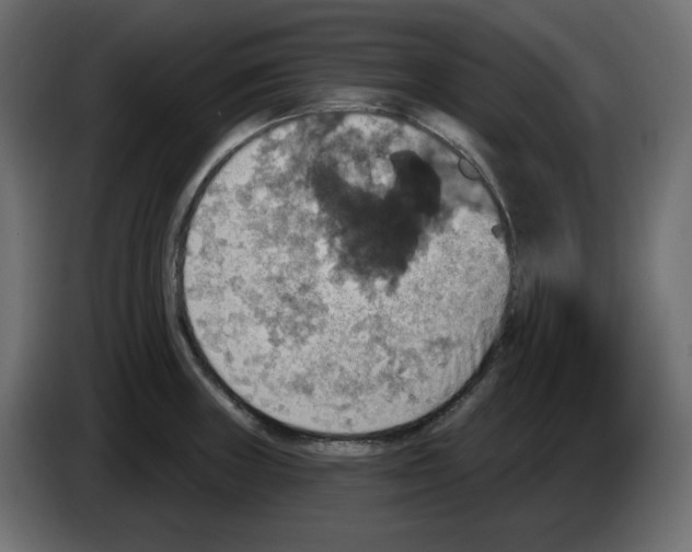 X0000084521235200703231623