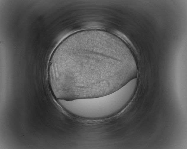 X0000084521236200703231623