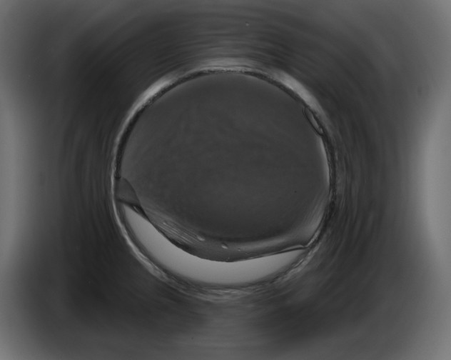 X0000084521237200703231623
