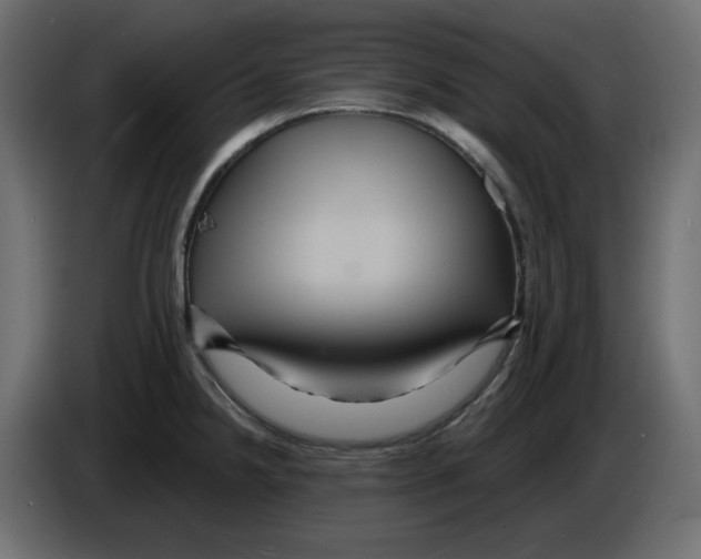 X0000084521238200703231623