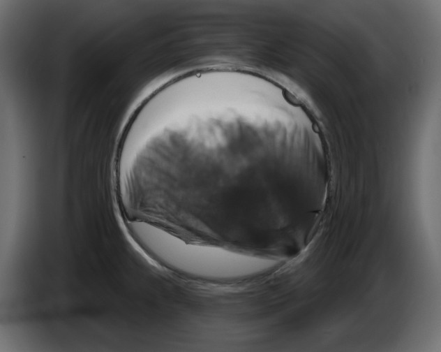 X0000084521239200703231623