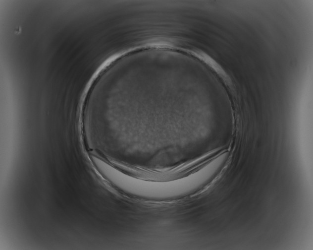 X0000084521240200703231623