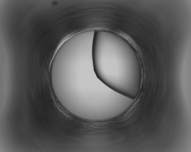 X0000084521242200703231624