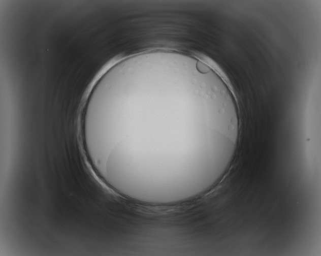 X0000084521243200703231624