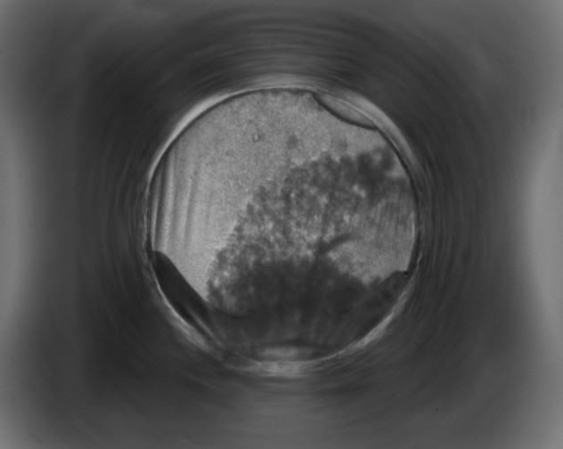 X0000084521244200703231624