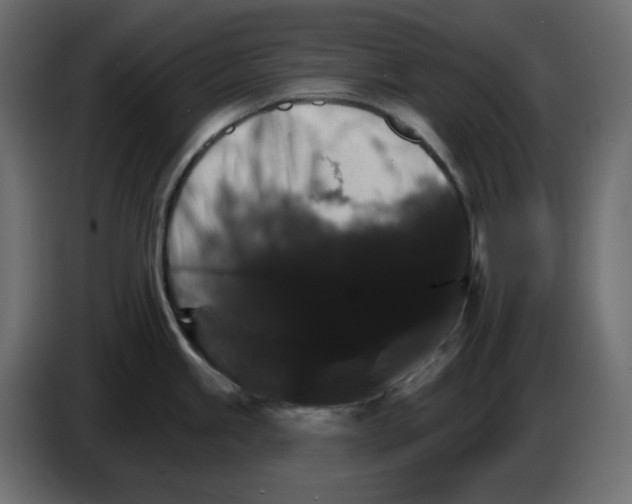 X0000084521245200703231624