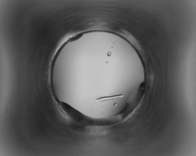 X0000084521246200703231624