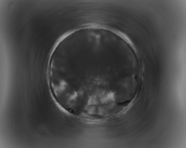 X0000084521247200703231624