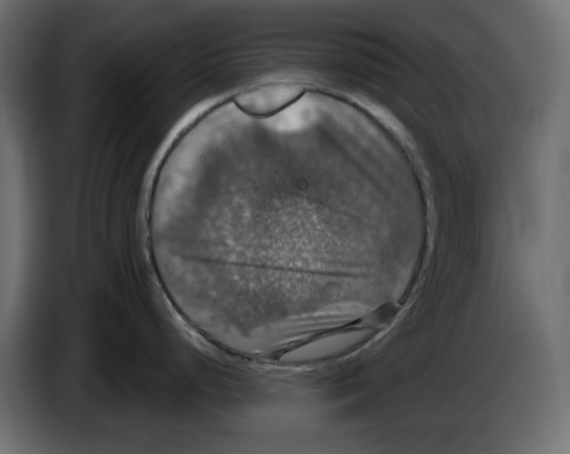 X0000084521248200703231624
